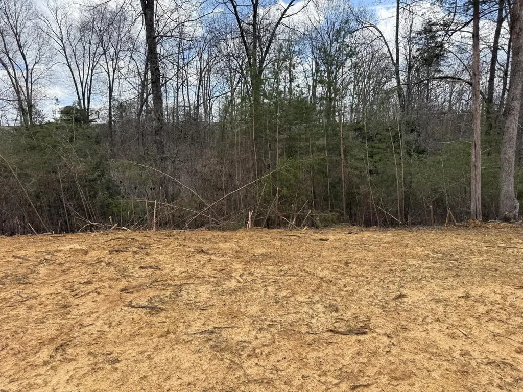 Lot 10 Phase 2 Stearns Hollow Road Monticello KY 42633