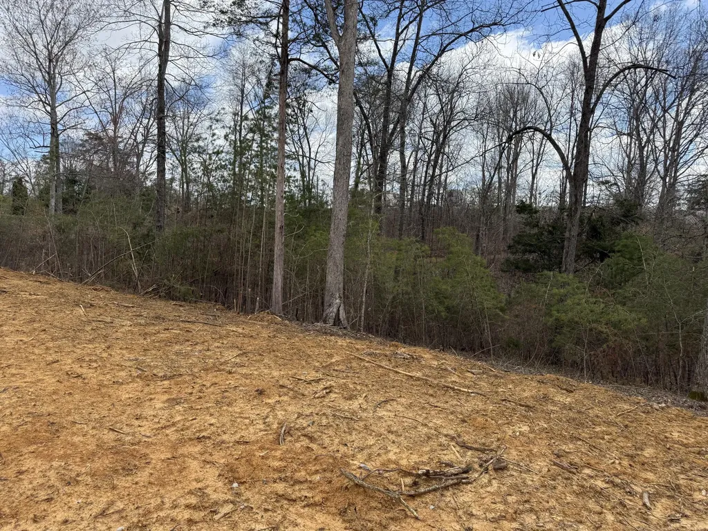Lot 10 Phase 2 Stearns Hollow Road Monticello KY 42633