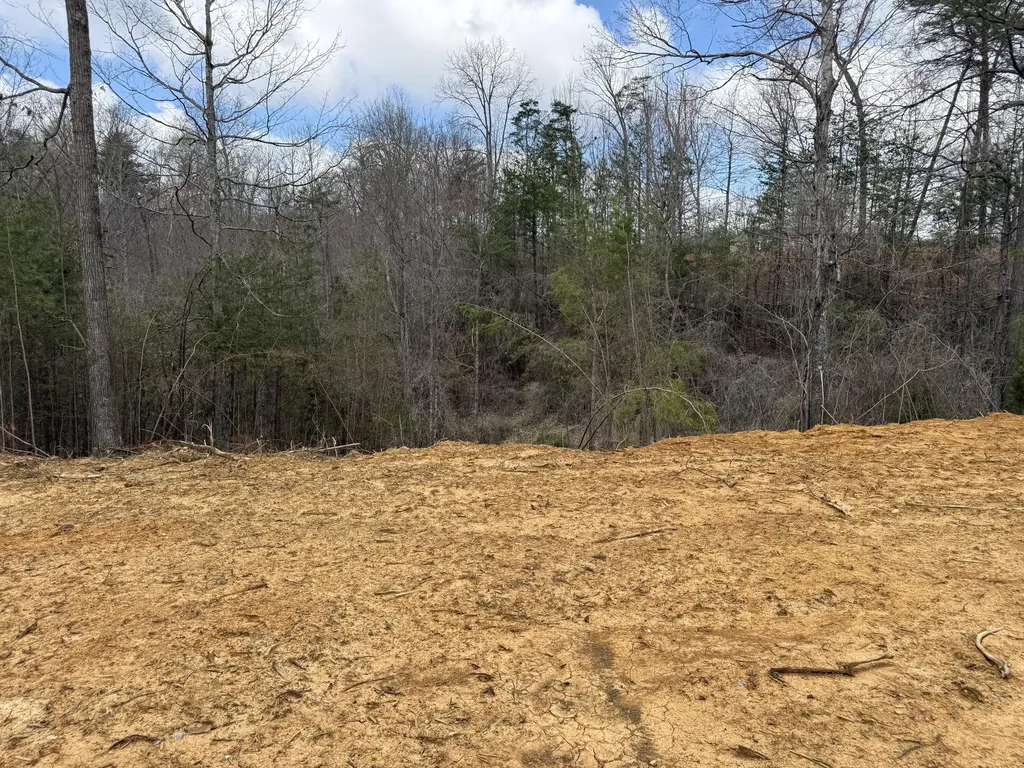 Lot 6 Phase 2 Stearns Hollow Road Monticello KY 42633