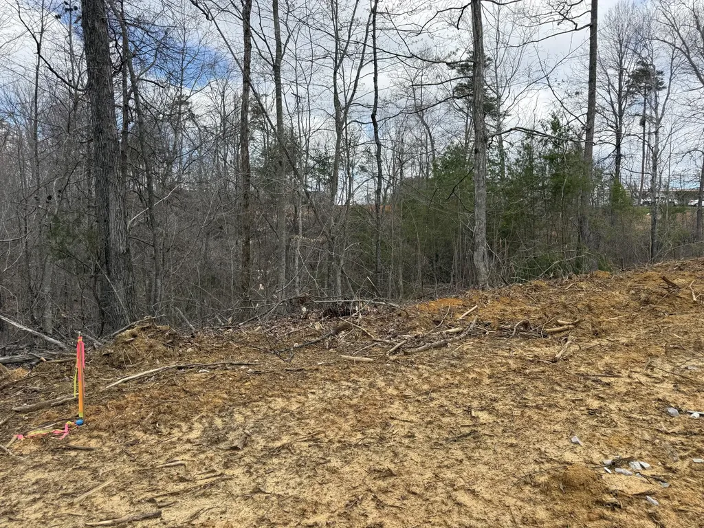Lot 7 Phase 2 Stearns Hollow Road Monticello KY 42633