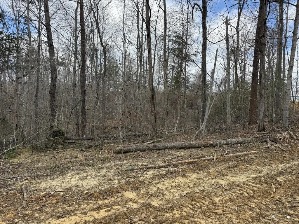 Lot 7 Phase 2 Stearns Hollow Road Monticello KY 42633