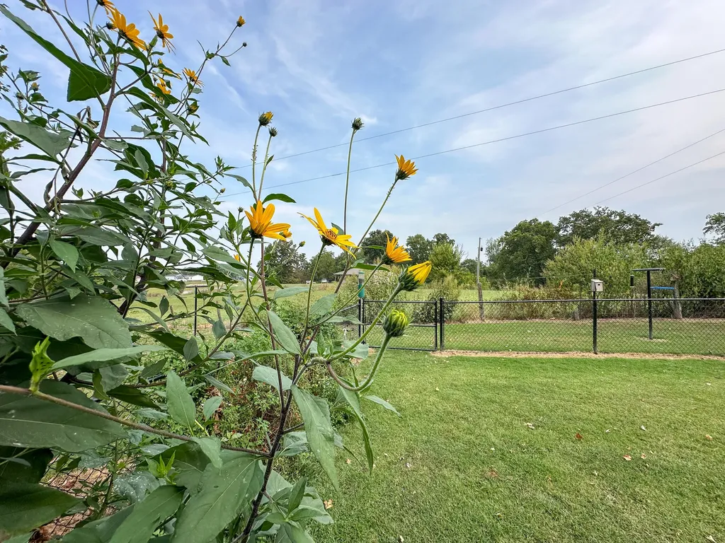 158 Fortenberry Road Russell Springs KY 42642