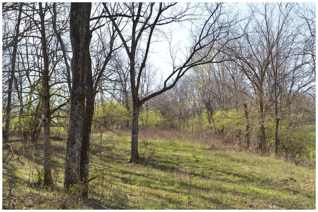 1021 Hanley Lane Frankfort KY 40601