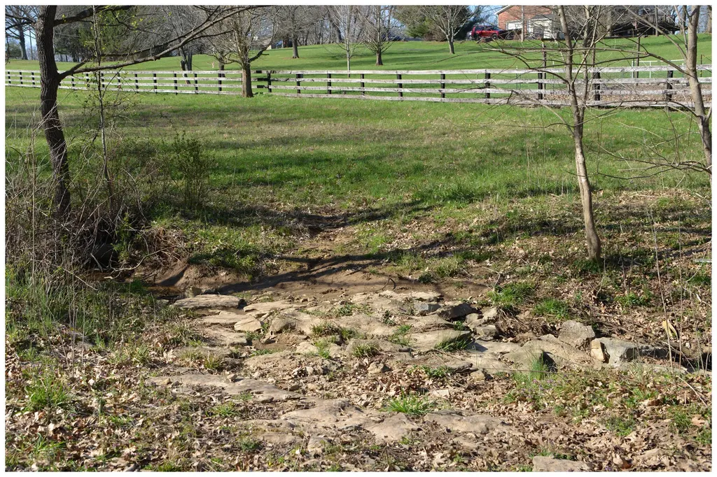 1021 Hanley Lane Frankfort KY 40601