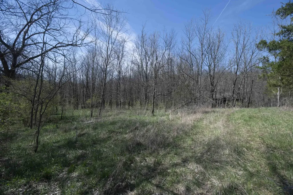0 Davis Turkey Foot Road Sadieville KY 40370