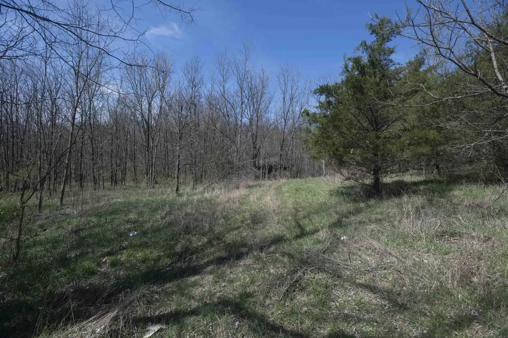 0 Davis Turkey Foot Road Sadieville KY 40370