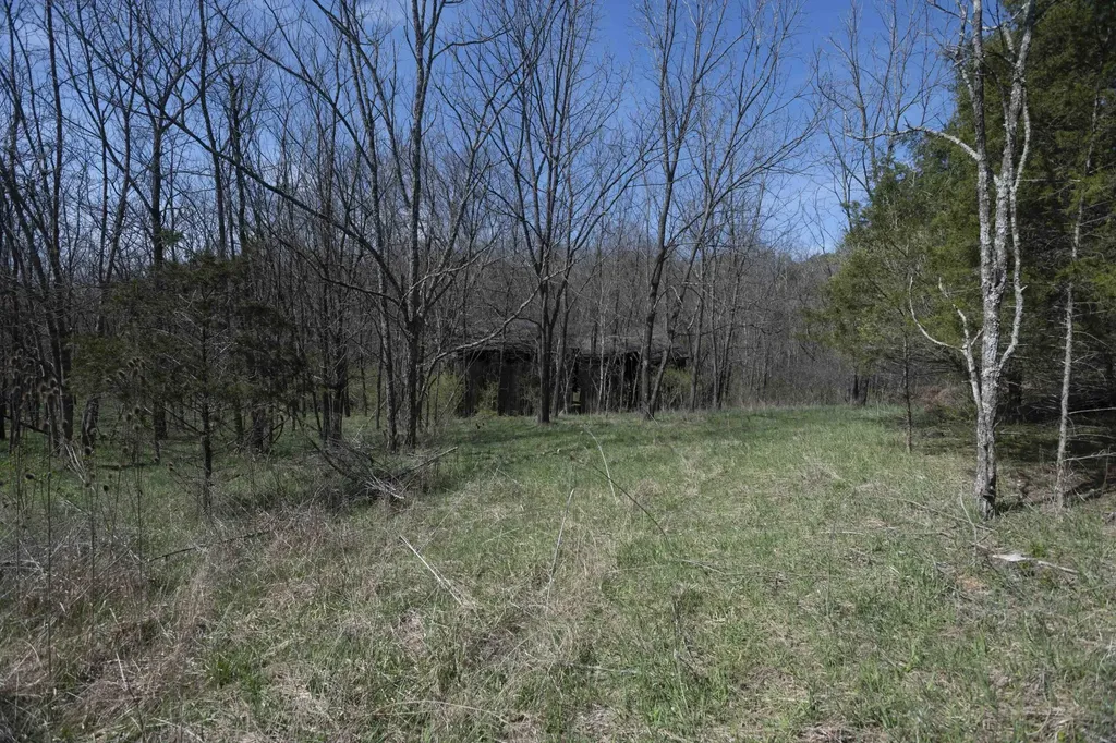 0 Davis Turkey Foot Road Sadieville KY 40370