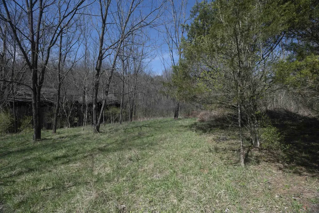 0 Davis Turkey Foot Road Sadieville KY 40370