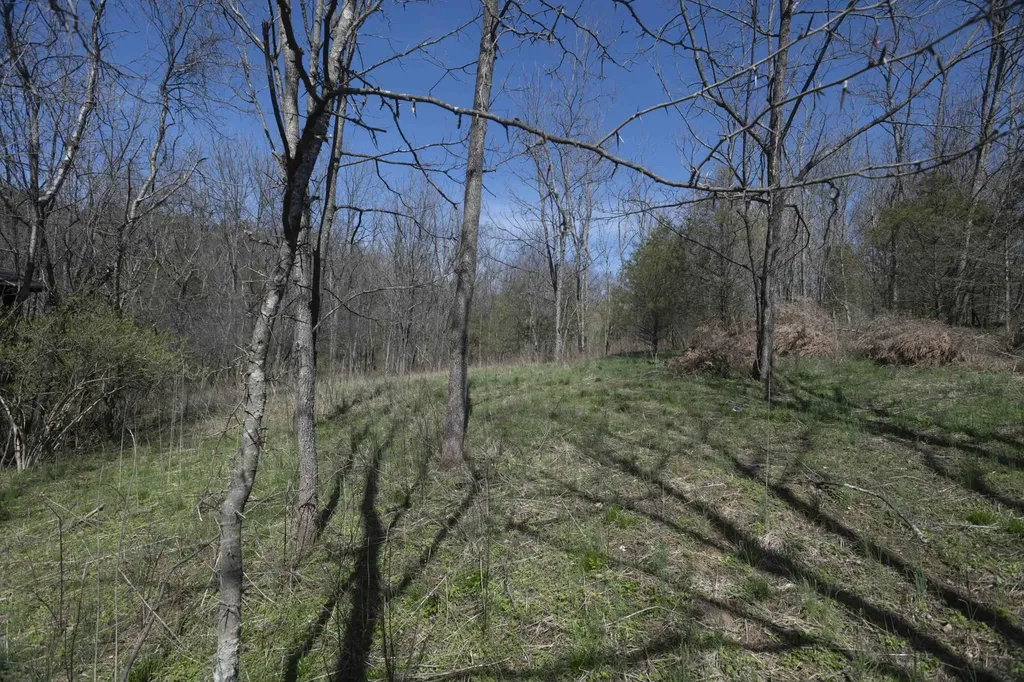 0 Davis Turkey Foot Road Sadieville KY 40370