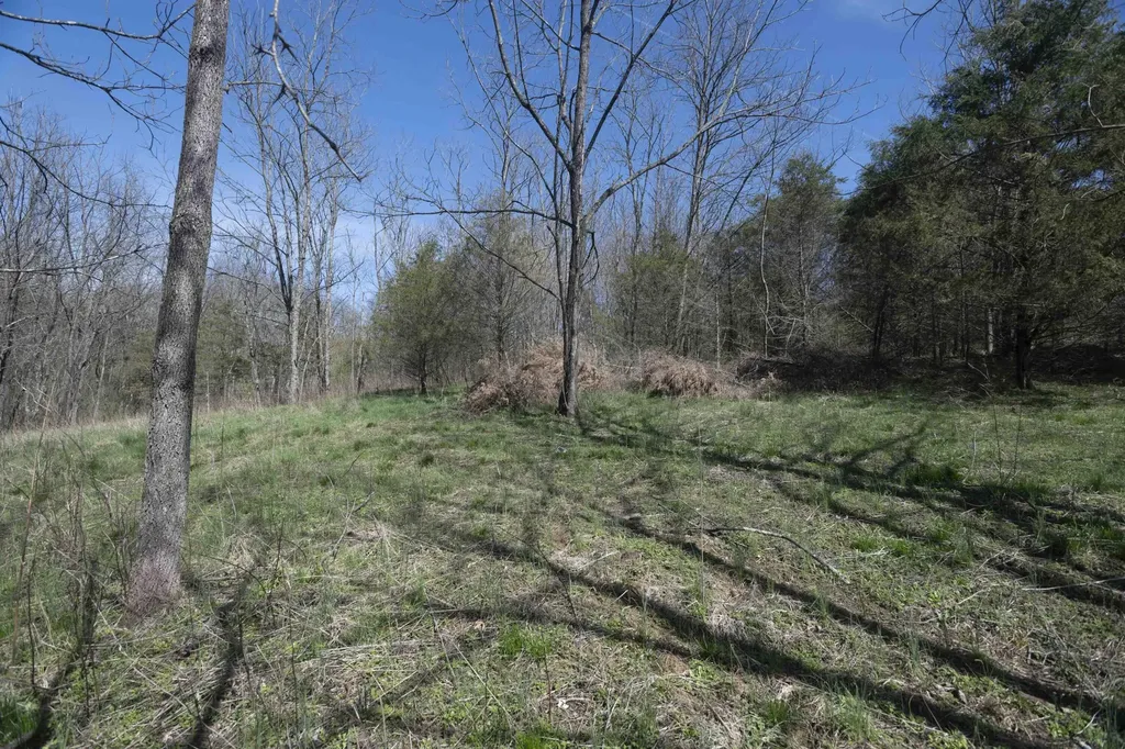 0 Davis Turkey Foot Road Sadieville KY 40370
