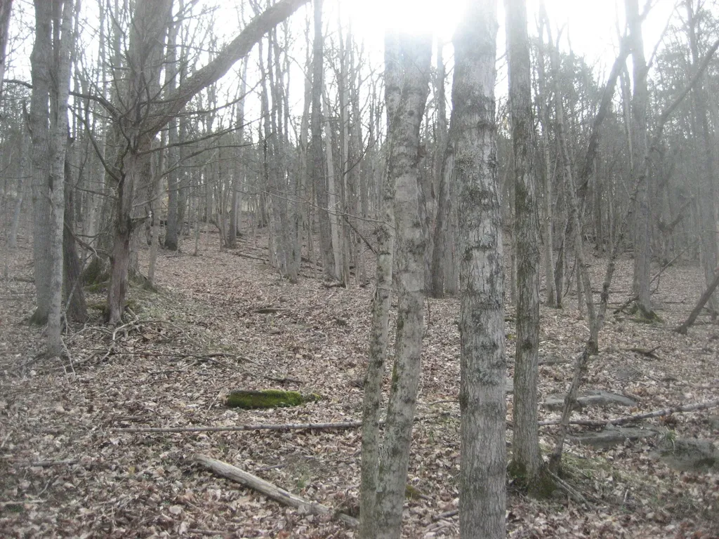No Address Six Mile Creek Road Eminence KY 40019