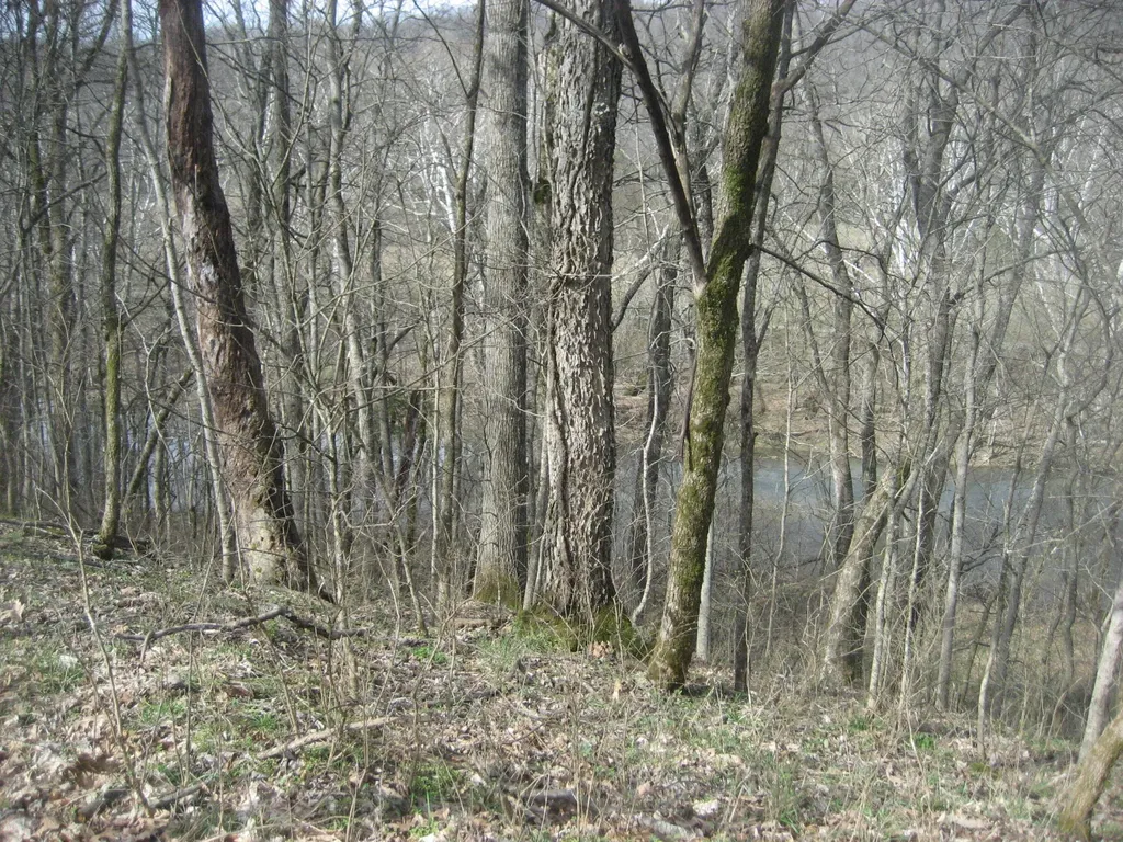No Address Six Mile Creek Road Eminence KY 40019