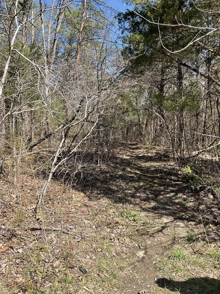 04 Caney Branch Spur Road Burnside KY 41519