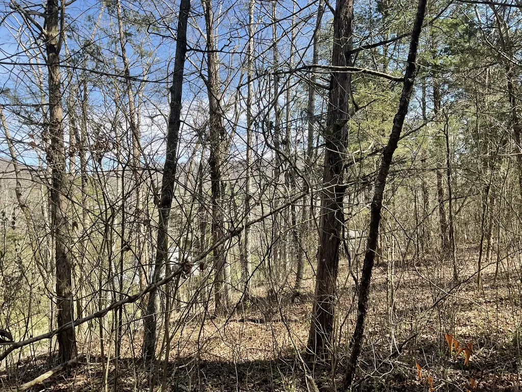 04 Caney Branch Spur Road Burnside KY 41519