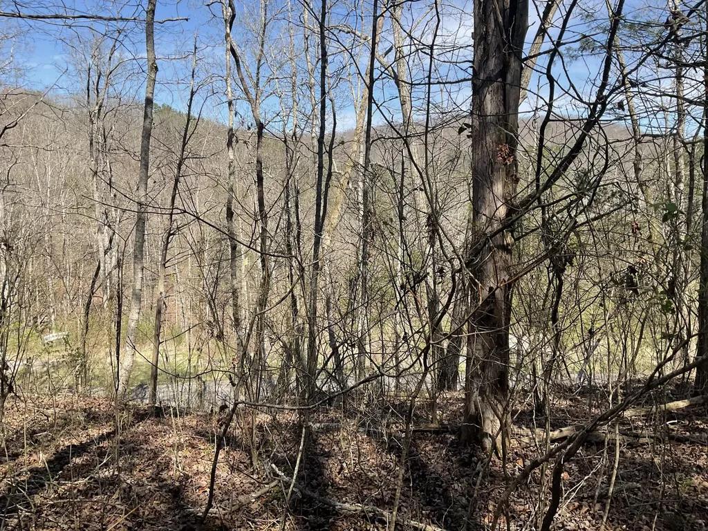 04 Caney Branch Spur Road Burnside KY 41519