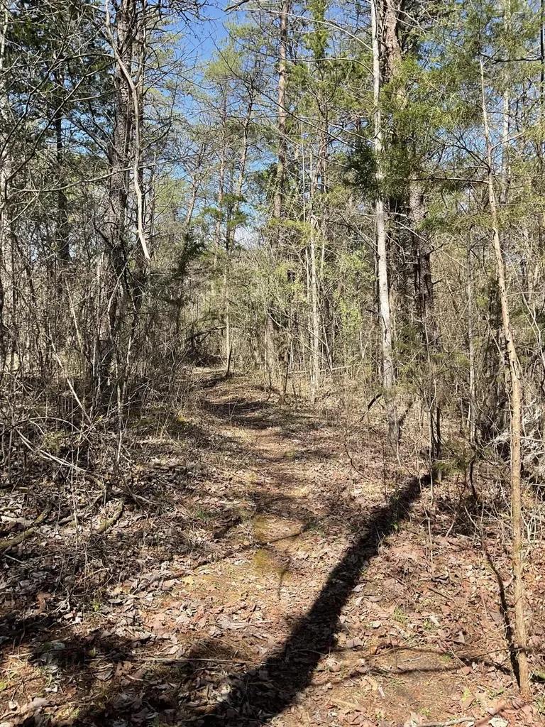 53 Caney Branch Spur Road Burnside KY 42519