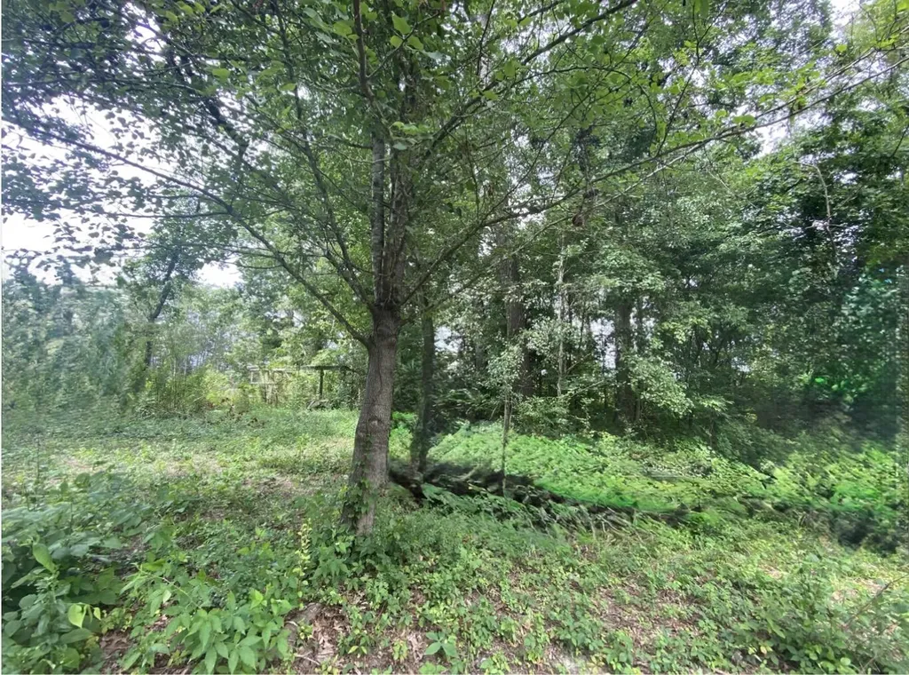 7412 U.s. Highway 25 Corbin KY 40701