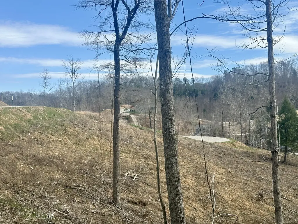 Lot 18 Sleepy Hollow Road East Bernstadt KY 40729