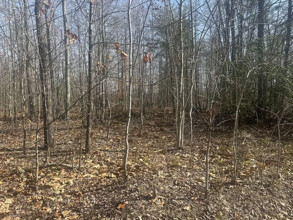10 Ac Old Beaty Pvt Road Strunk KY 42649