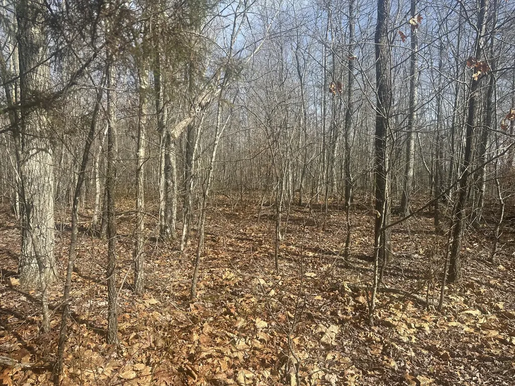 10 Ac Old Beaty Pvt Road Strunk KY 42649