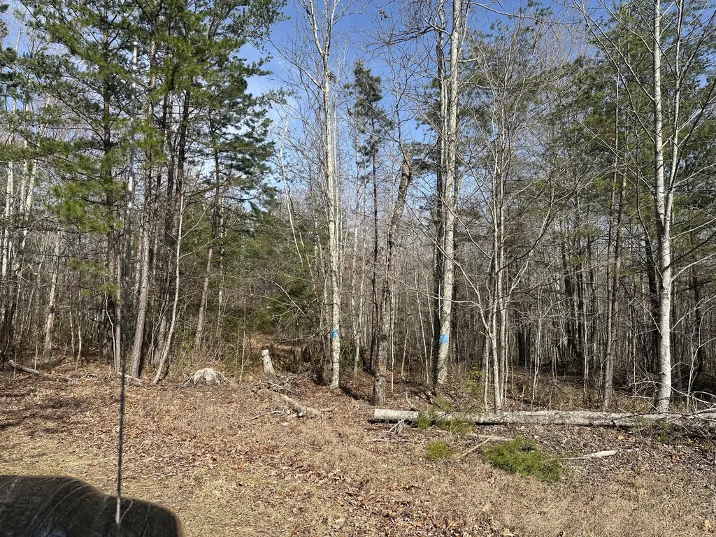 10 Ac Old Beaty Pvt Road Strunk KY 42649