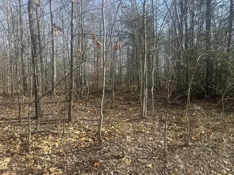 10 ac Old Beaty Pvt Road Strunk KY 42649