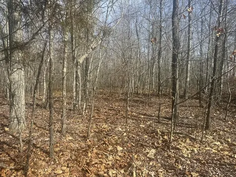 10 ac Old Beaty Pvt Road Strunk KY 42649