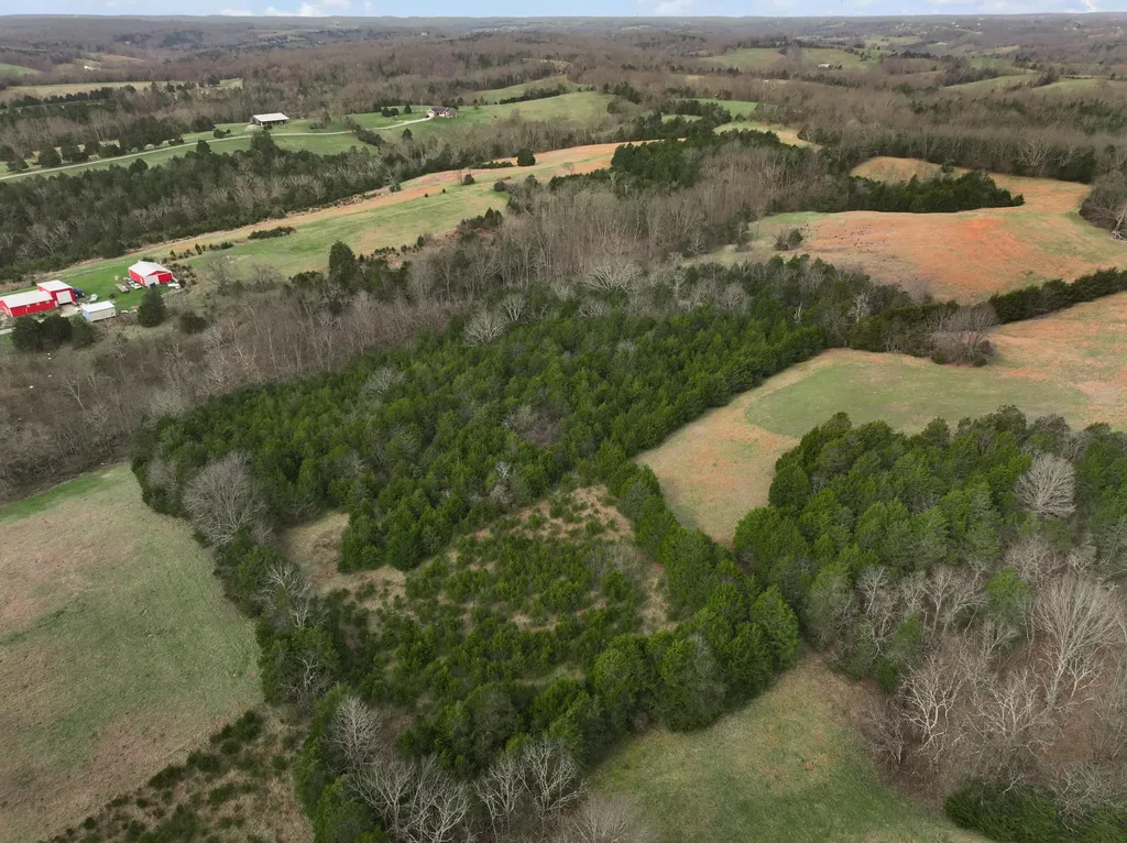 1540 Scaffold Lick Creek Road Berry KY 41003