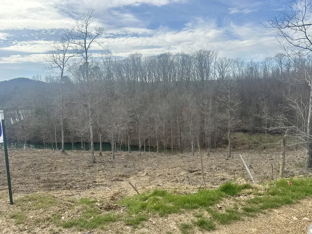 Lot 29 Sleepy Hollow Road East Bernstadt KY 40729