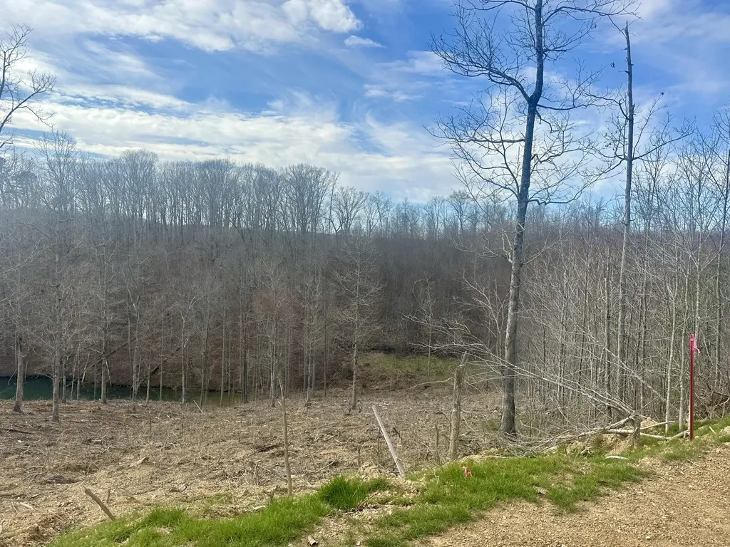 Lot 29 Sleepy Hollow Road East Bernstadt KY 40729