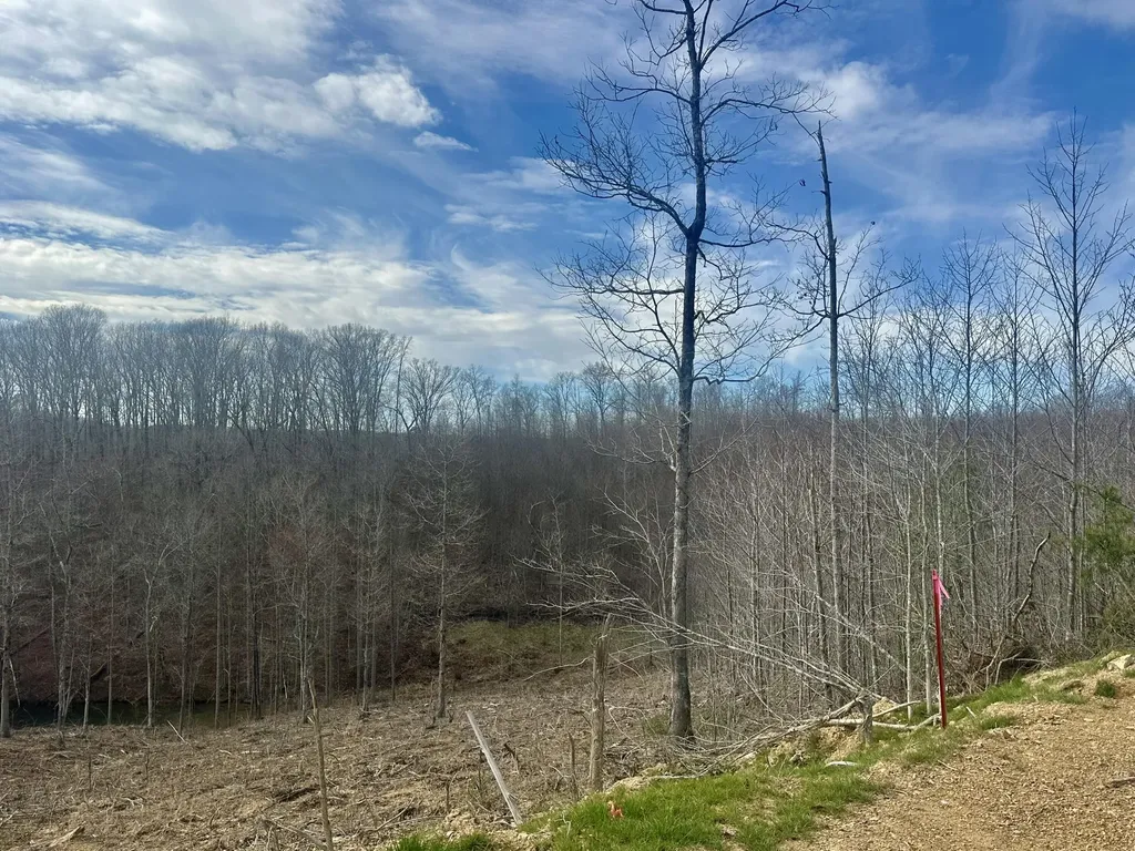 Lot 29 Sleepy Hollow Road East Bernstadt KY 40729