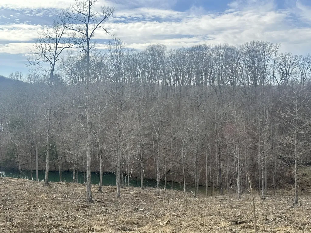 Lot 29 Sleepy Hollow Road East Bernstadt KY 40729