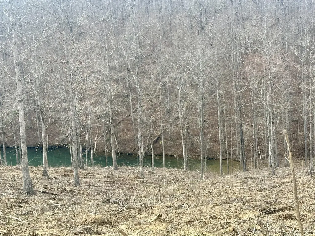 Lot 29 Sleepy Hollow Road East Bernstadt KY 40729