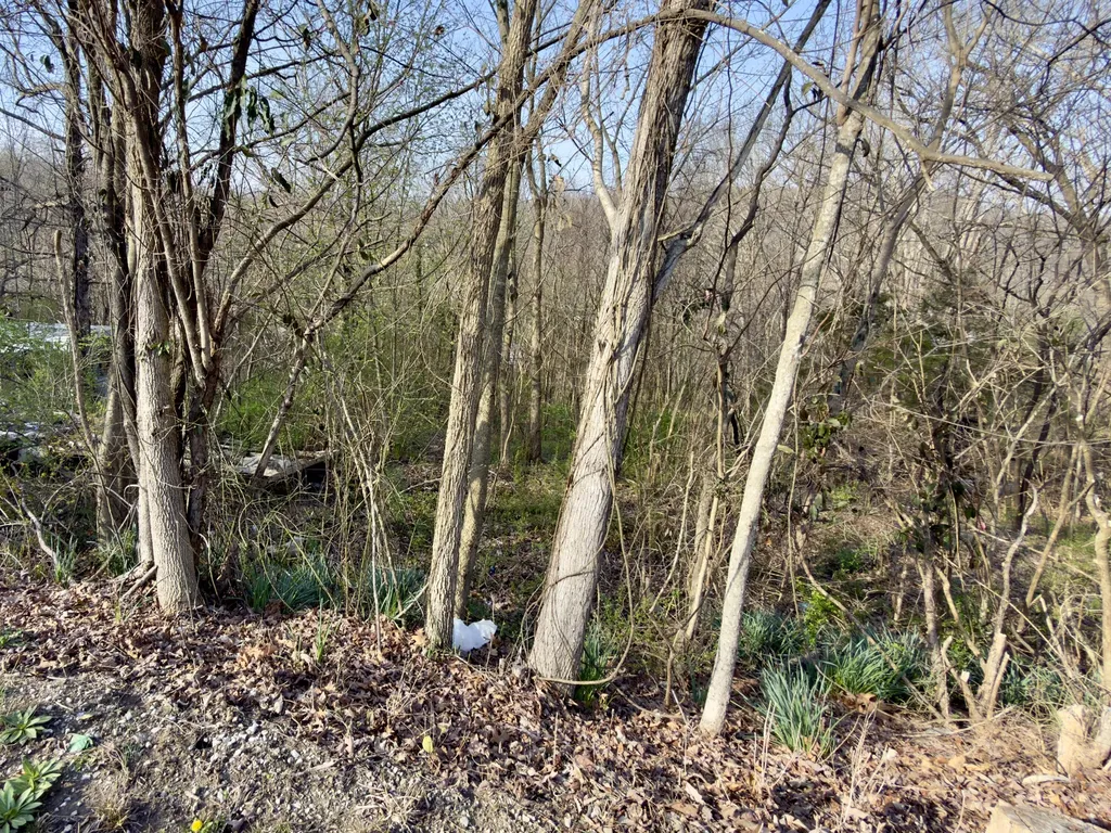 794 Missouri Valley Road Monticello KY 42633