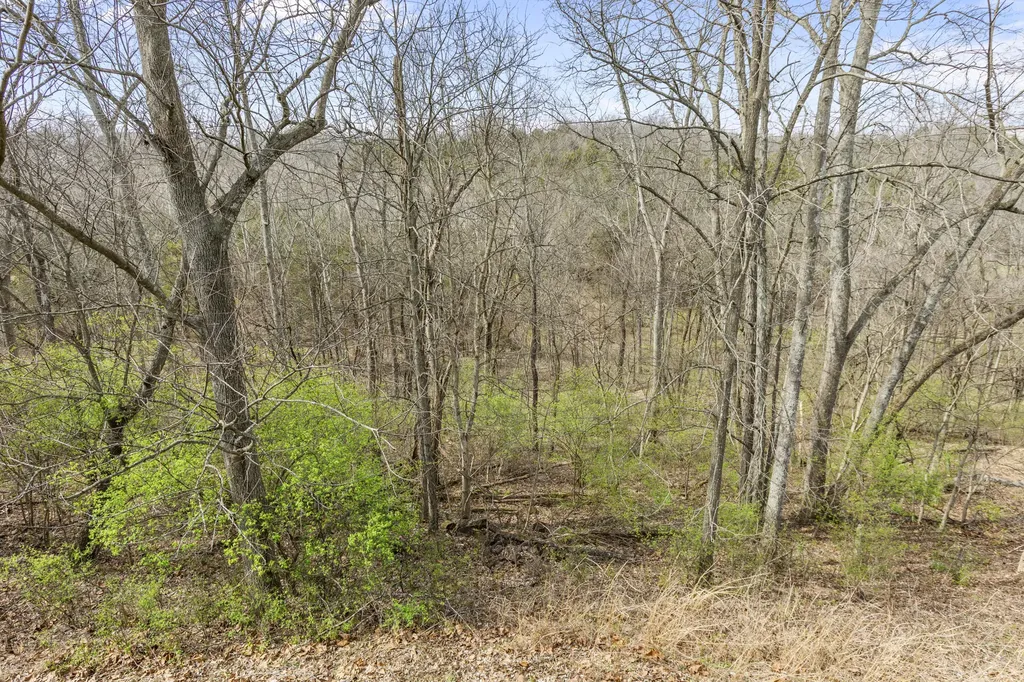 119 Blackberry Ridge Court Georgetown KY 40324