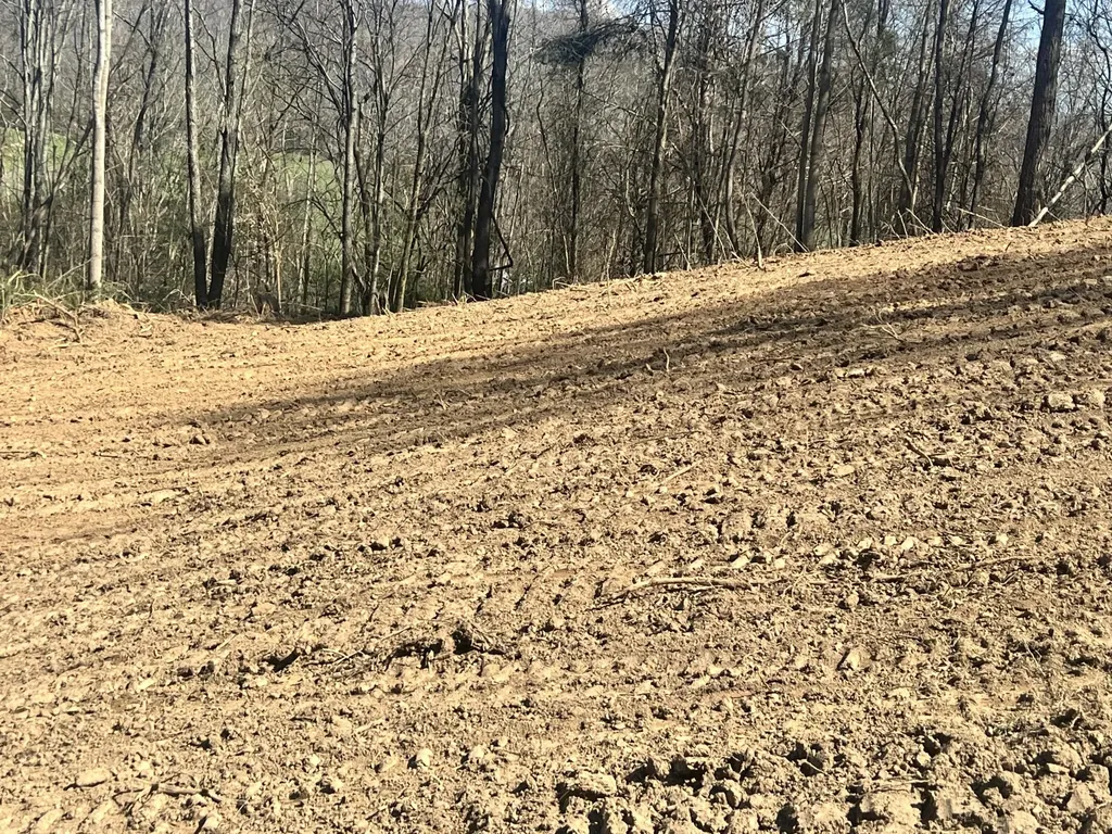 6310 Ky-200 Monticello KY 42633