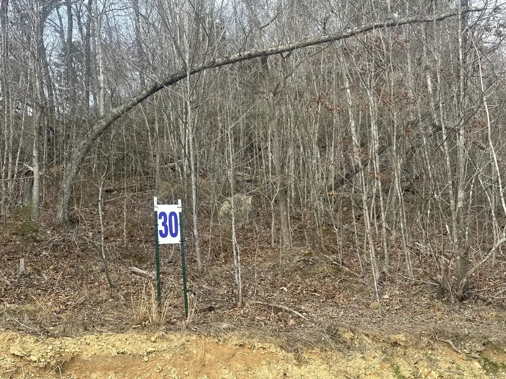 Lot 30 Sleepy Hollow Road East Bernstadt KY 40729