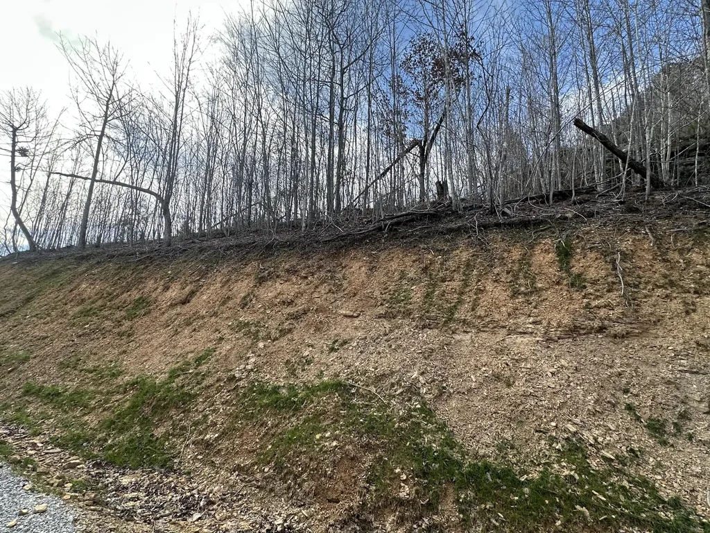 Lot 19 Sleepy Hollow Road East Bernstadt KY 40729