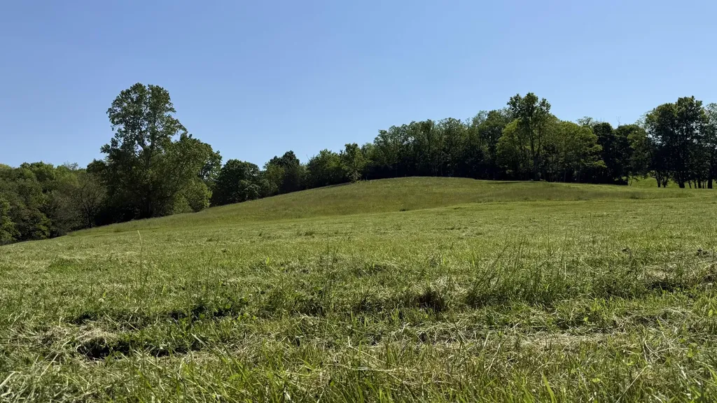 787 Morris Road Sadieville KY 40370