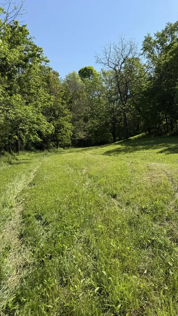 787 Morris Road Sadieville KY 40370