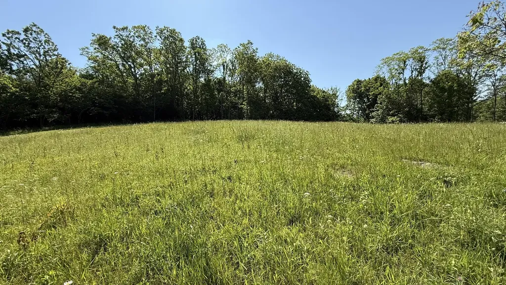 787 Morris Road Sadieville KY 40370