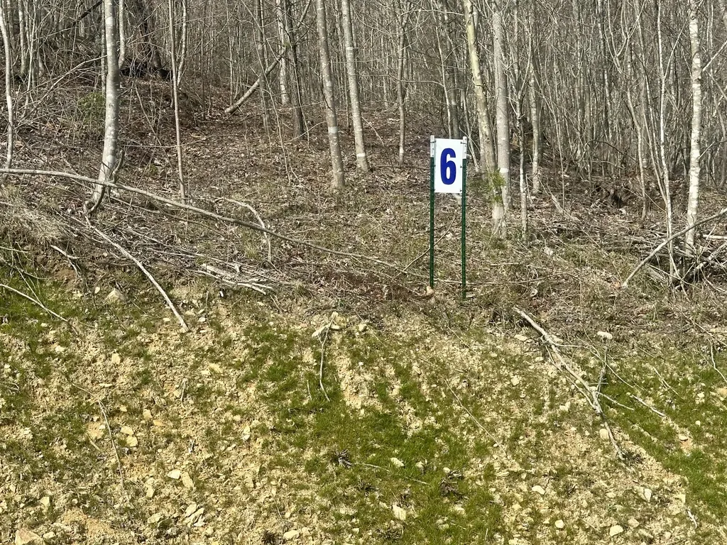 Lot 6 Sleepy Hollow Road East Bernstadt KY 40729