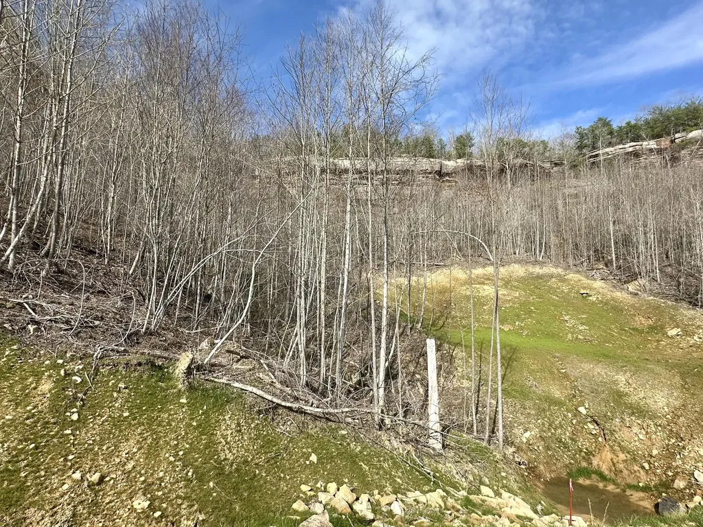 Lot 6 Sleepy Hollow Road East Bernstadt KY 40729