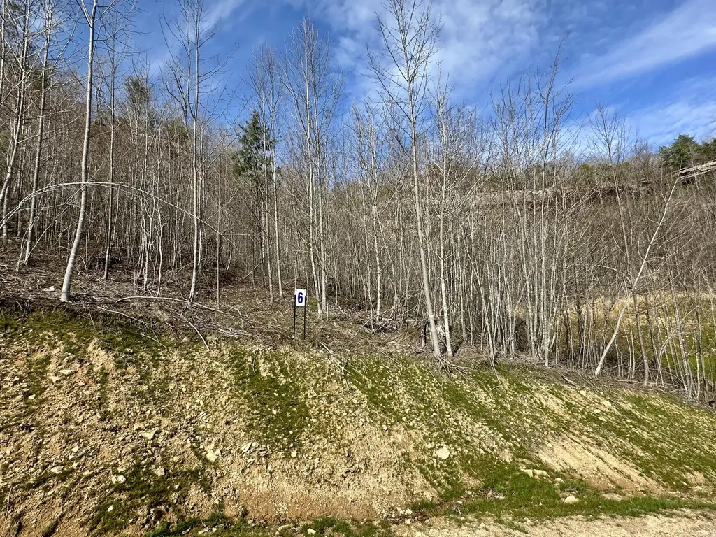 Lot 6 Sleepy Hollow Road East Bernstadt KY 40729