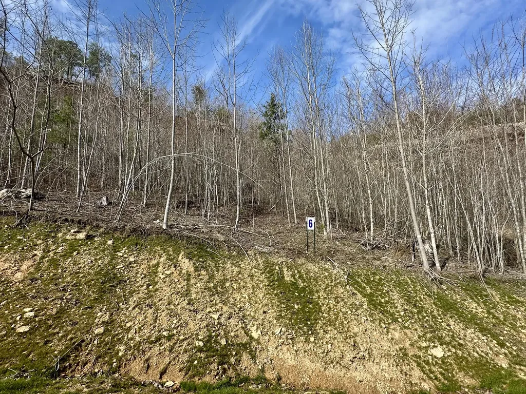 Lot 6 Sleepy Hollow Road East Bernstadt KY 40729