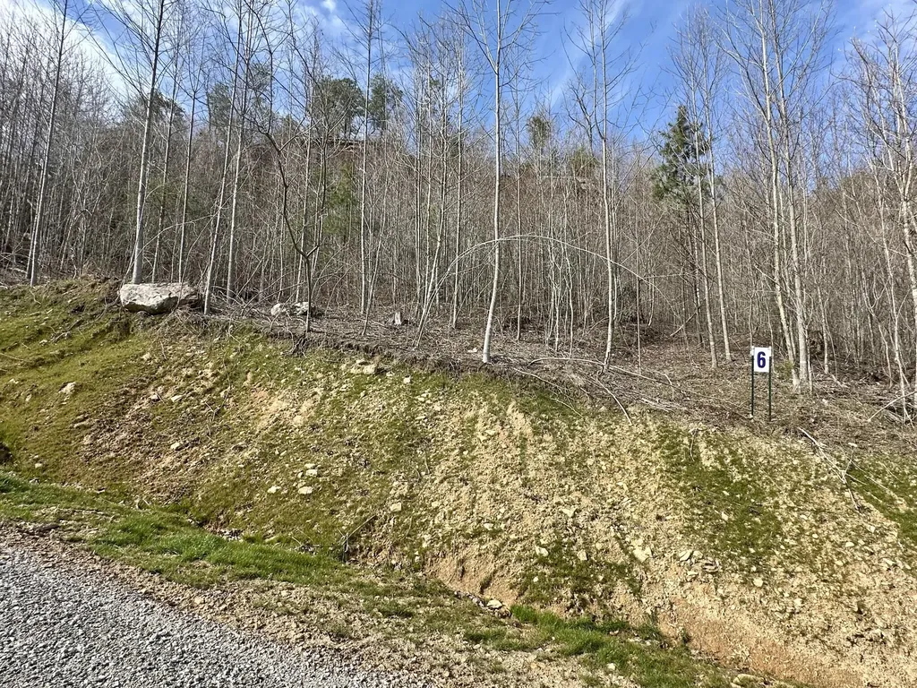 Lot 6 Sleepy Hollow Road East Bernstadt KY 40729