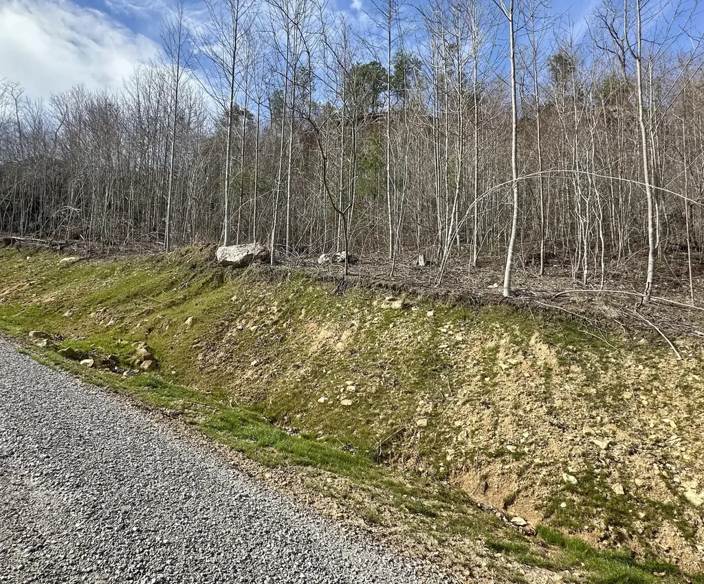 Lot 6 Sleepy Hollow Road East Bernstadt KY 40729