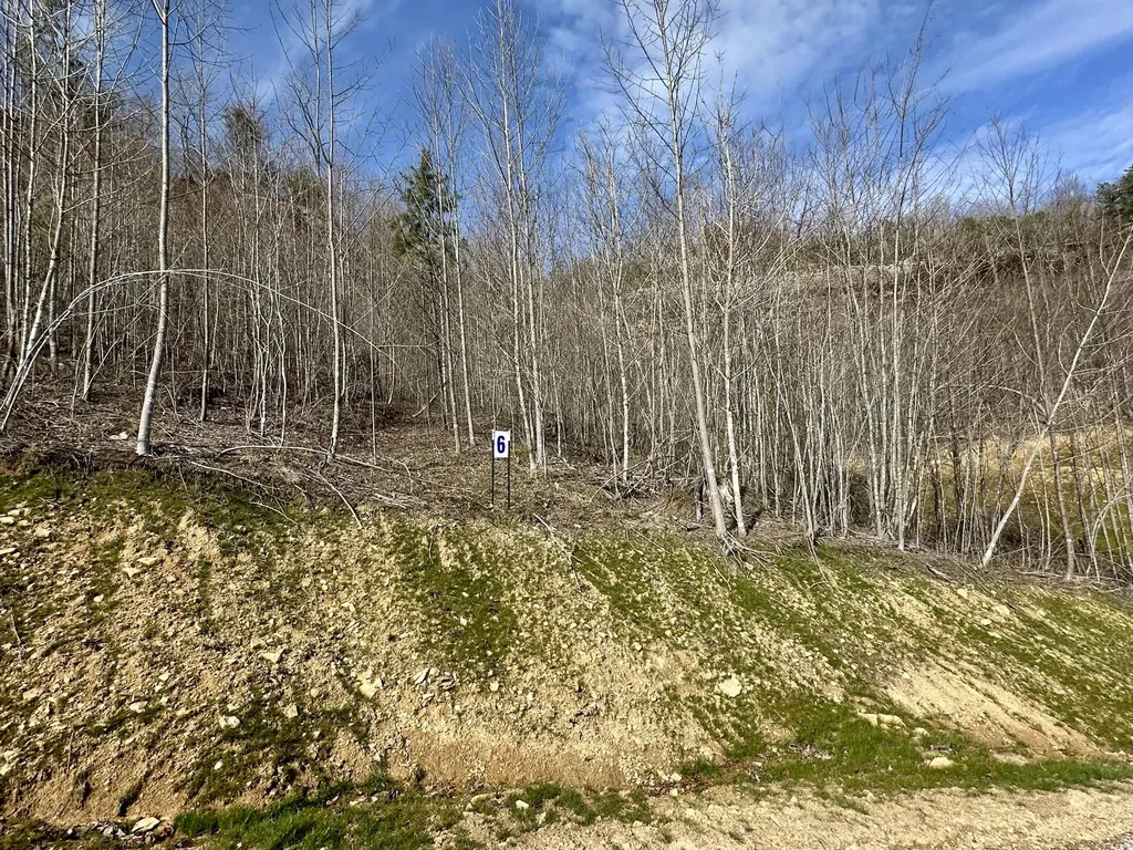 Lot 6 Sleepy Hollow Road East Bernstadt KY 40729