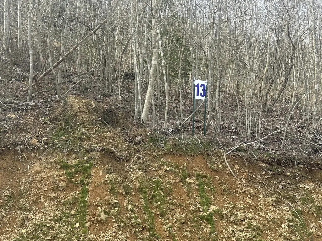 Lot 13 Sleepy Hollow Road East Bernstadt KY 40729