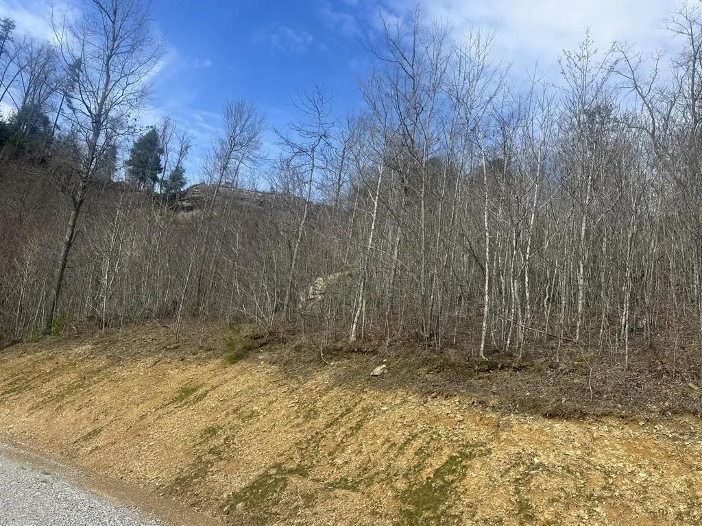 Lot 13 Sleepy Hollow Road East Bernstadt KY 40729